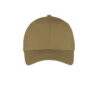 Coyote Brown