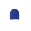 Athletic Royal
