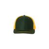 Dark Green/Gold