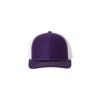 Purple/White